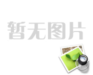 中國經(jīng)濟開門紅“華龍一號”